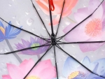 Зонт женский Amico, арт.0707-1_product